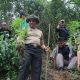 Wakil Kepala Kepolisian Daerah Bengkulu Brigjen Pol Drs Umardani M.Si Kamis (29/12/2022) meninjau langsung lokasi penemuan ladang ganja di dusun III Desa Air Rusa kecamatan Sindang Dataran yang berbatasan dengan desa Kampung Jeruk, Kabupaten Rejang Lebong ShareFacebookTwitterWhatsApp